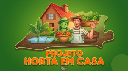 PROJETO HORTA EM CASA