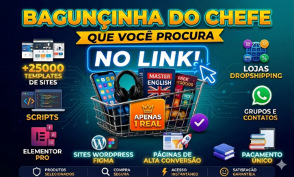 BAGUNÇINHA DO CHEFE